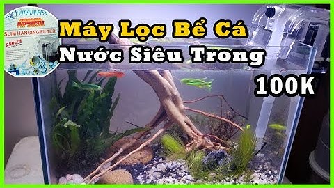 Máy lọc nước bể cá cảnh lọc hồ cá thủy sinh nước trong vắt Rất dễ xài