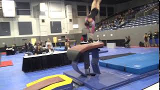 Sarah Lambert, Legacy | L10 Vault 2019 Region 5 Championships