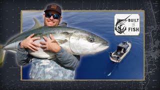 Kingfish Chaos at White Island!