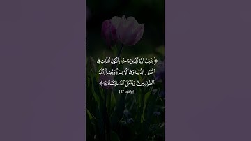 يثبت الله الذين امنوا بالقول الثابت | محمد صديق المنشاوي  [سورة إبراهيم ]