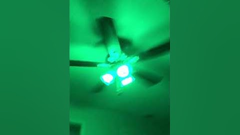 Peteme Smart WiFi Alexa Light Bulb, Led RGB Color Changing Bulbs, Compatible with Alexa, Siri, Echo
