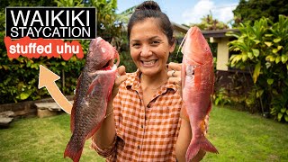 Stuffed Uhu Parrotfish for a Waikiki Staycation