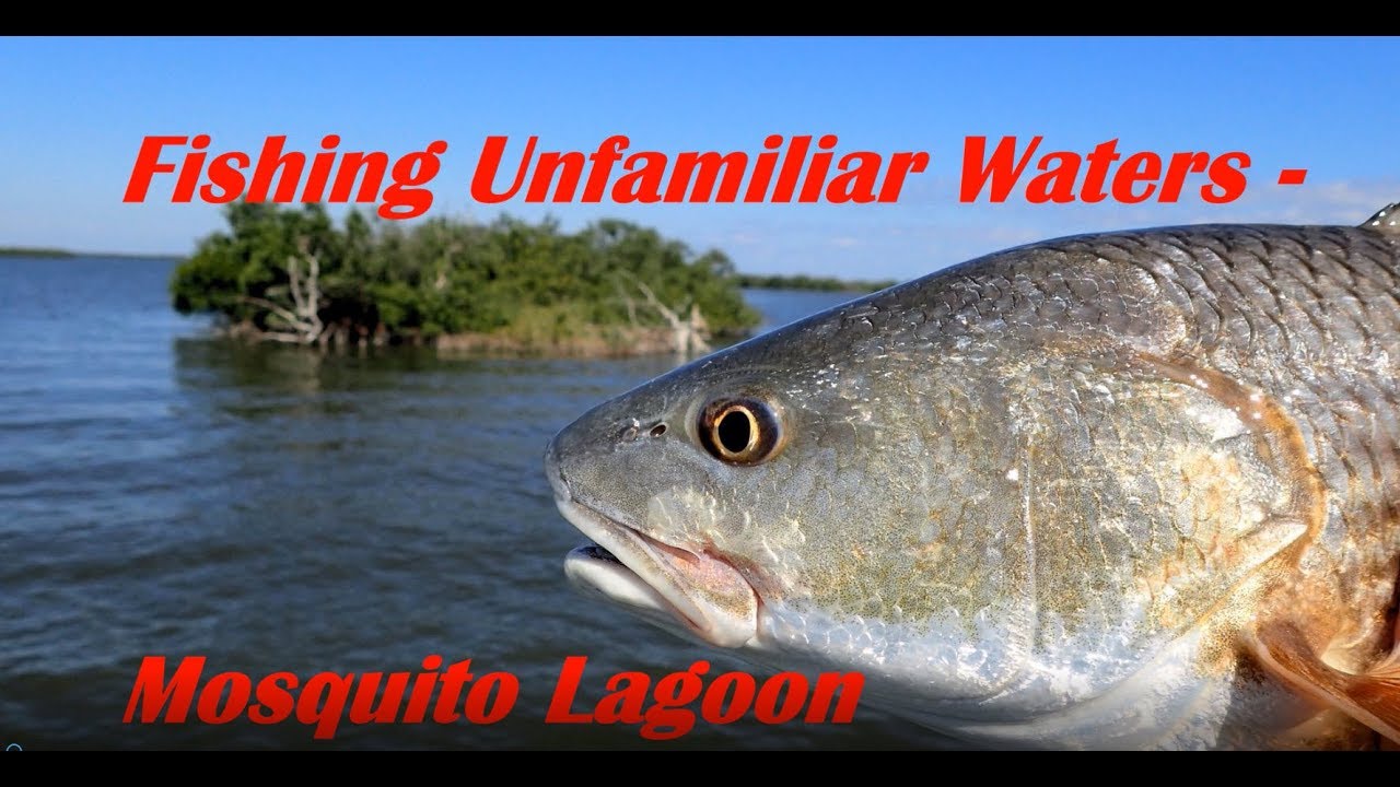 Fishing Unfamiliar Waters Mosquito Lagoon - YouTube
