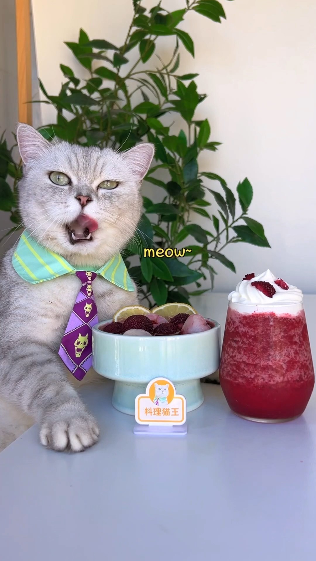 Yummy Bayberry Lychee Jelly \u0026 Slush For Summer!??#catsofyoutube #foodlover #tiktok