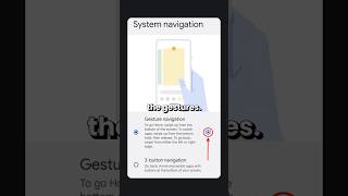 Gesture vs 3-button navigation