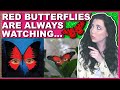 Why You Should NEVER Chase A Red Butterfly