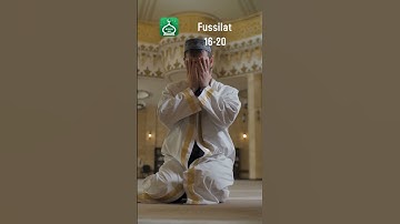 Surah Fussilat 16-20 | Urdu | Hindi Audio Translation | سورة فصلت