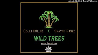 Colli Collie X Shayne Rasko - Wild Trees (wild thoughts remix)