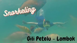 [Honeymoon Tour 2016] Snorkeling Gili Petelu Lombok Indonesia, Pink Beach Snorkeling Spot by DAikazoCoon 95 views 7 years ago 17 minutes