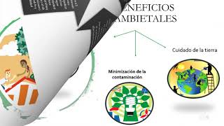 Informe Ejecutivo  Interacciones del proyecto sostenible colaborativo