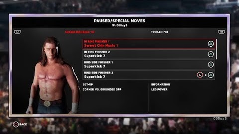 Summerslam 2002: Shawn Michaels VS Triple H