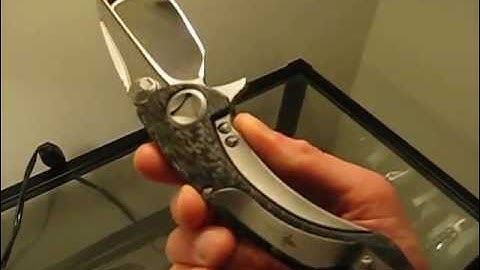 Microtech Marfione Custom Whaleshark High Polish