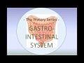 How to take a gastrointestinal history: A guide for OSCEs