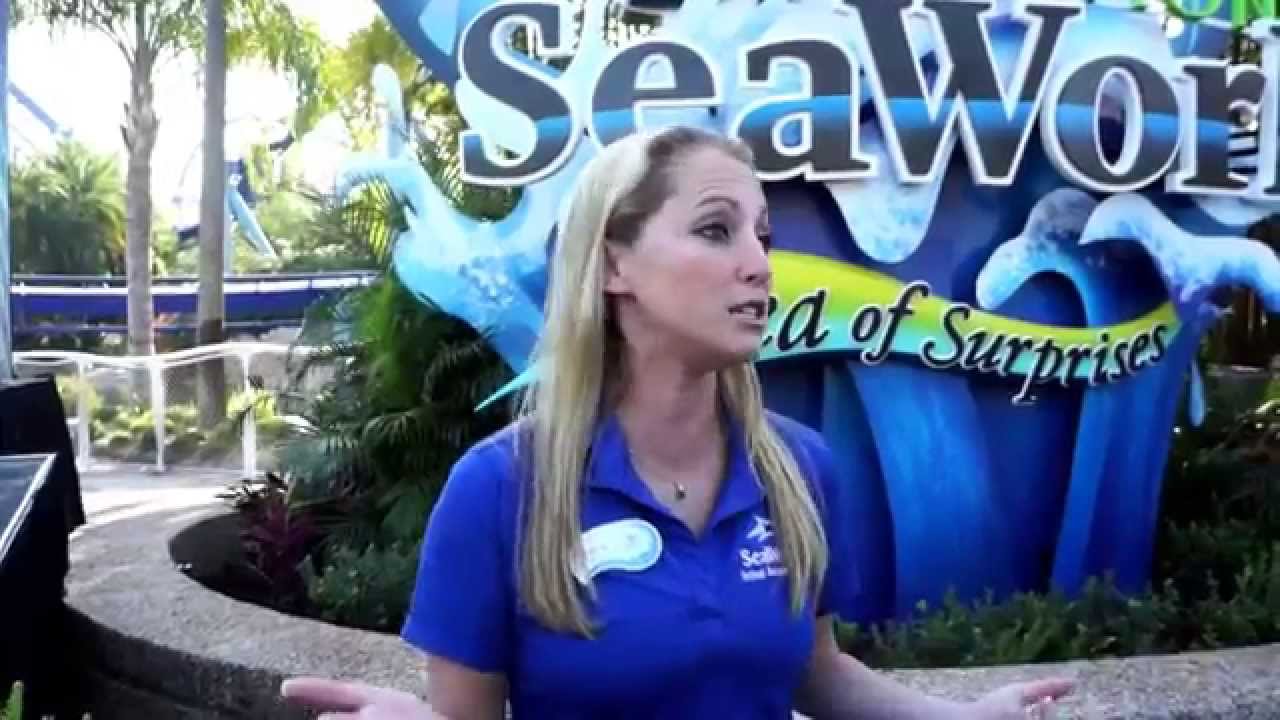 Interview With Corey Oxman Senior Animal Trainer at SeaWorld Talking