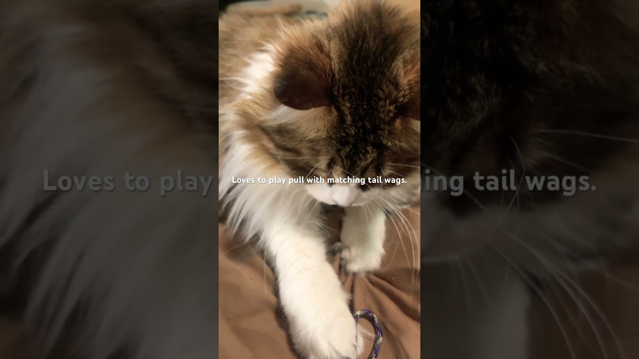 Just before taking a  😴 routine. 