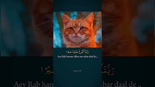 ya Rab Sabar De 🙏#islam #motivation #vrial #song