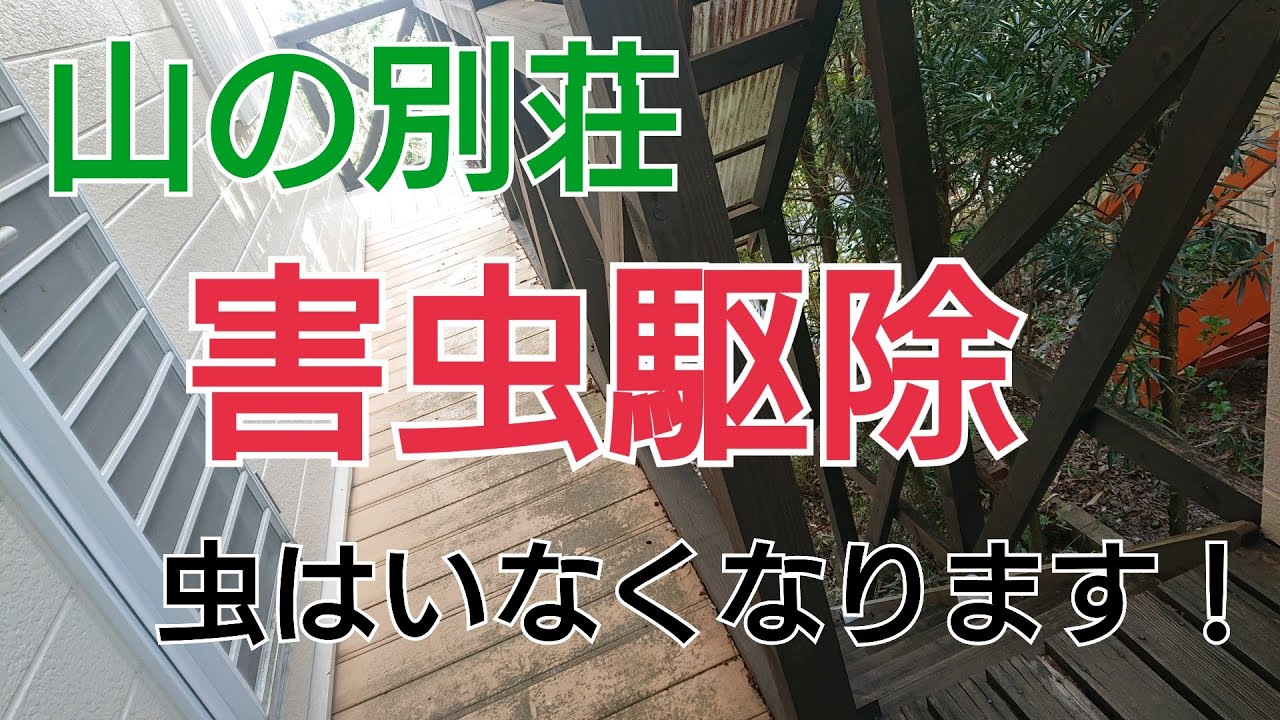 26歳157ｃｍの別荘【害虫駆除編】