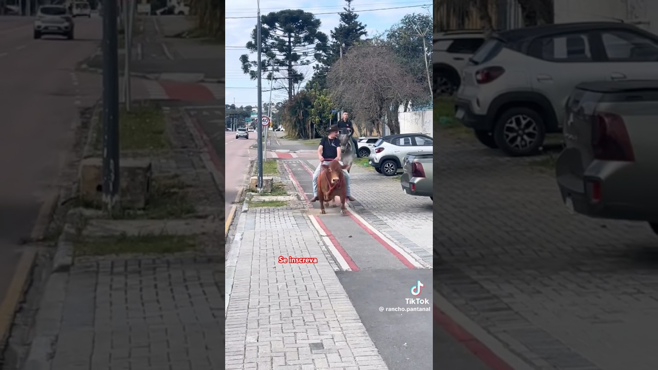 Mini boi 🐂 ‼️😂