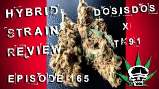 Dosis Dos x TK91- Hybrid Strain Review