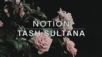 Notion - Tash Sultana Lyrics