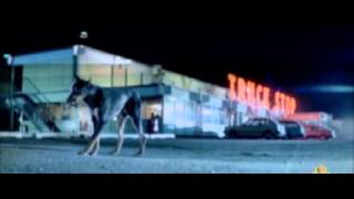 Dobermans in movie -- 38 (part 3) -- Доберманы в кино Dobermans in movie -- 38 (part 3) -- Доберманы в кино