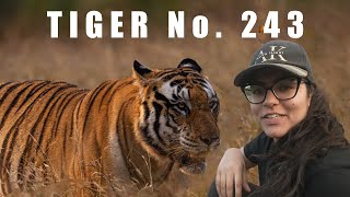 Did You Know About This UNUSUAL Tiger Behaviour ? | Panna Tiger Reserve | ATR DAILY VLOG - 31