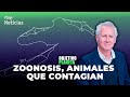 ZOONOSIS: ¿Cómo puede CONTAGIARNOS un ANIMAL? ¿Cuáles son los animales que contagian? | RTVE