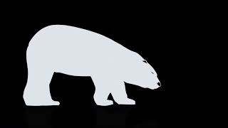 Polar Bear Films Logo