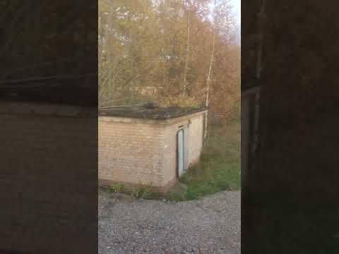 Питомник для отловленных собак Череповец