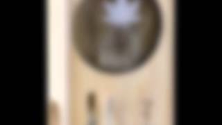 Mflb Magic Flight Launch Box Vape