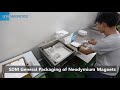 Vacuum Packaging Of  Neodymium Magnet