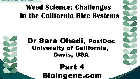 Bioingene.com Webinar on Weed Science: Challenges in the California Rice Systems [Part 4 of 4]