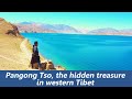 Pangong Tso Lake: the World's Highest Saltwater Lake and the Hidden Treasure in Tibet, China