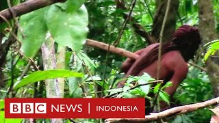 'Manusia Lubang': Tinggal sendiri, anggota terakhir suku asli Brazil meninggal - BBC News Indonesia