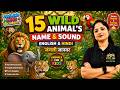 15 Wild Animal's Name and Sound | English & Hindi | Animals for Kids | Jyoti Jain Kids Academy
