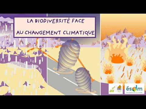 La biodiversité face au changement climatique / École Supérieure du Design de Marseille - GREC-SUD