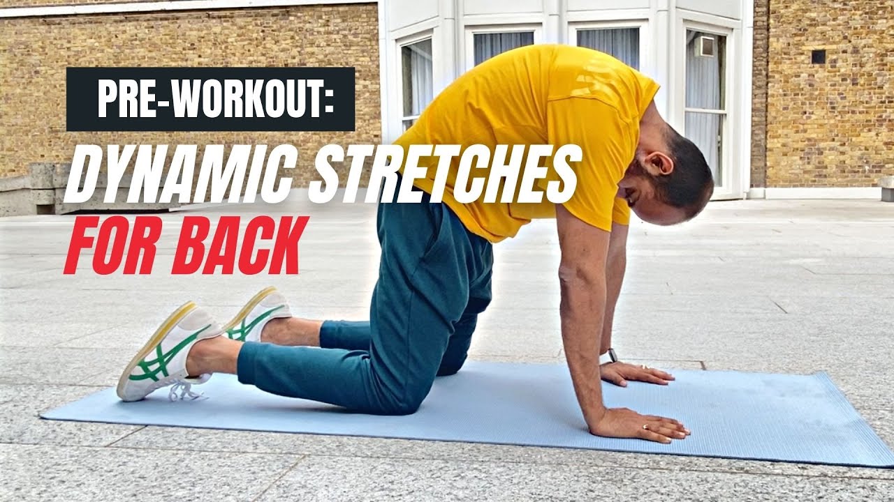 Dynamic Stretches for Back Before Workout Stretches YouTube