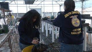 AgweekTV: SD FFA Program to Feed Local Community