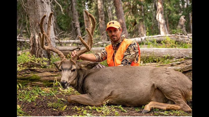 Second Chance Buck: Colorado Muzzleloader High Cou...