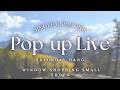 Pop Up Live Lørdagsfest Vindueshopping I Små Butikker 
