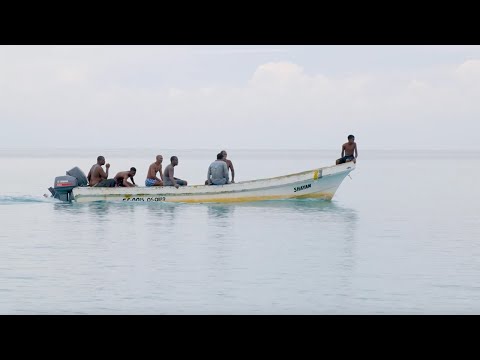 ভিডিও: গ্যারিংটন এমারসন এবং তার উৎপাদনশীলতার ১২টি নীতি