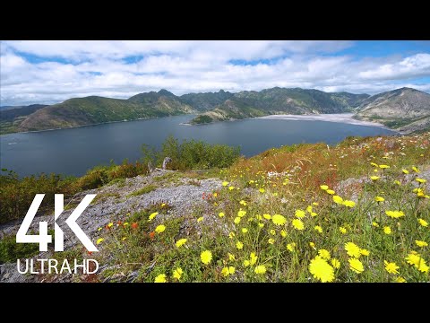 Gentle Bird Singing & Relaxing Wind Sounds with Mountain Lake View in 4K