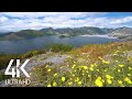 Gentle Bird Singing & Relaxing Wind Sounds with Mountain Lake View in 4K