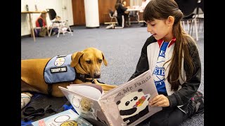 Pawsitively cool event — Stanislaus County Library in Modesto went to the dogs