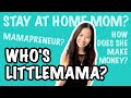 Who's Littlemama? How I Make Money Online As A Stay At Home Mom In 2020