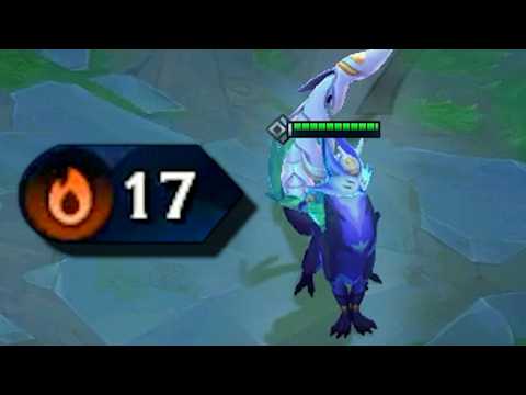Day in the life of a TFT shepherd
