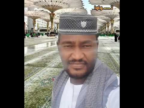 مرثية الشيخ السر احمد الدندر نجم الدين المادح محمد شكرالله