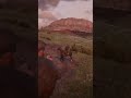 Escaping the law #rdr2 #helpmemakethismakesense #musicgenre #music #gaming #giveusourstolenmoneyback