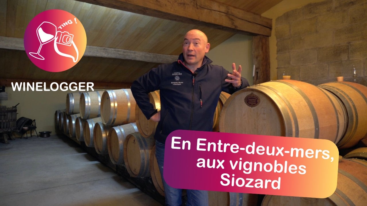 Vignobles Siozard, visite en entre-deux-mers dans la région bordelaise