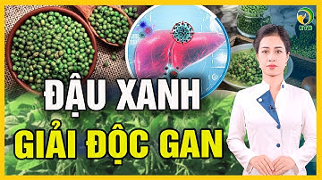 Tác dụng thải độc tuyệt vời của đậu xanh - KHỎE TỰ NHIÊN
